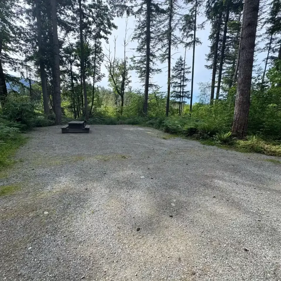 Chehalis campsite 100