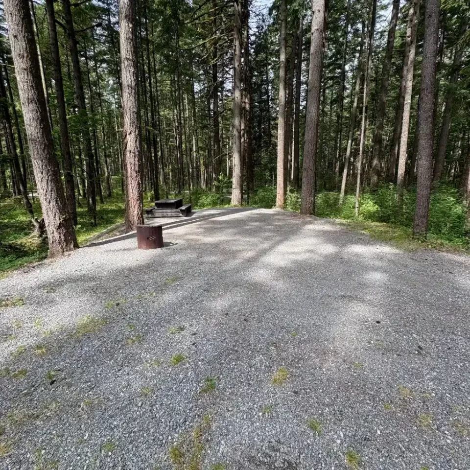 Chehalis campsite 130