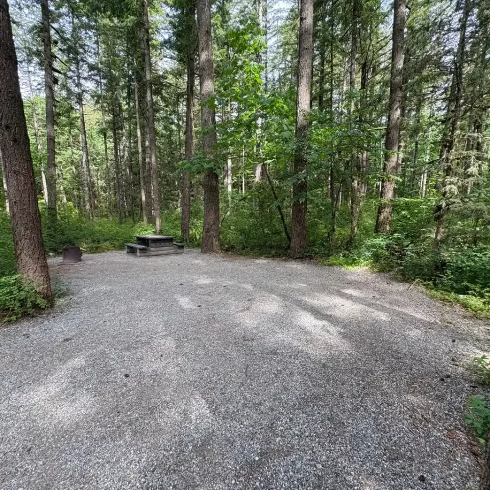 Chehalis campsite 201