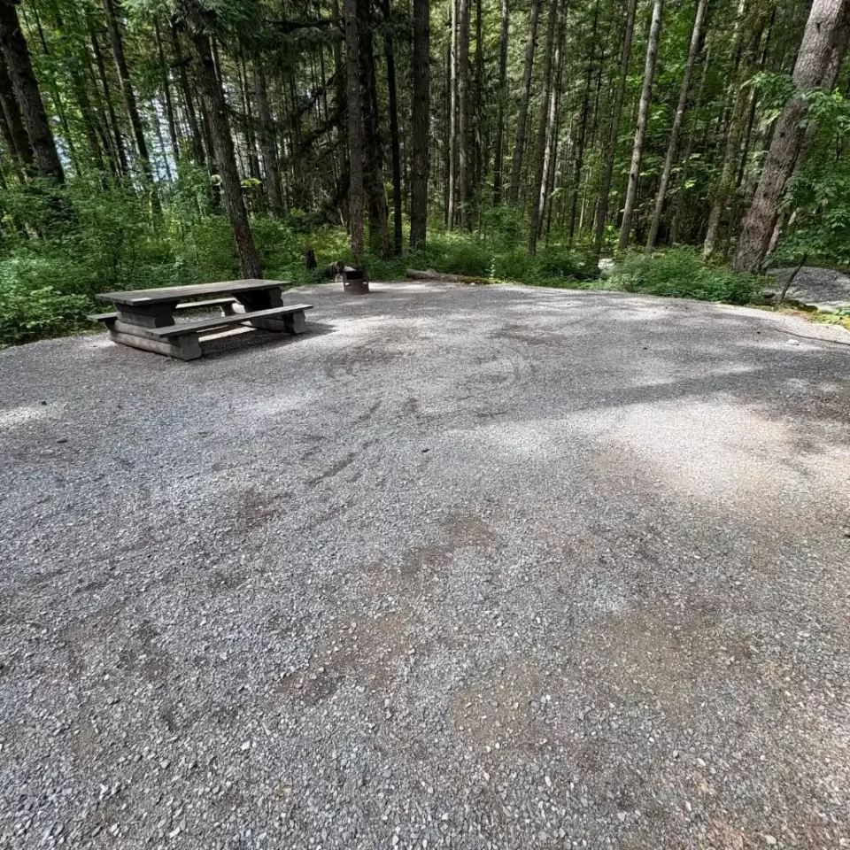 Chehalis campsite 202