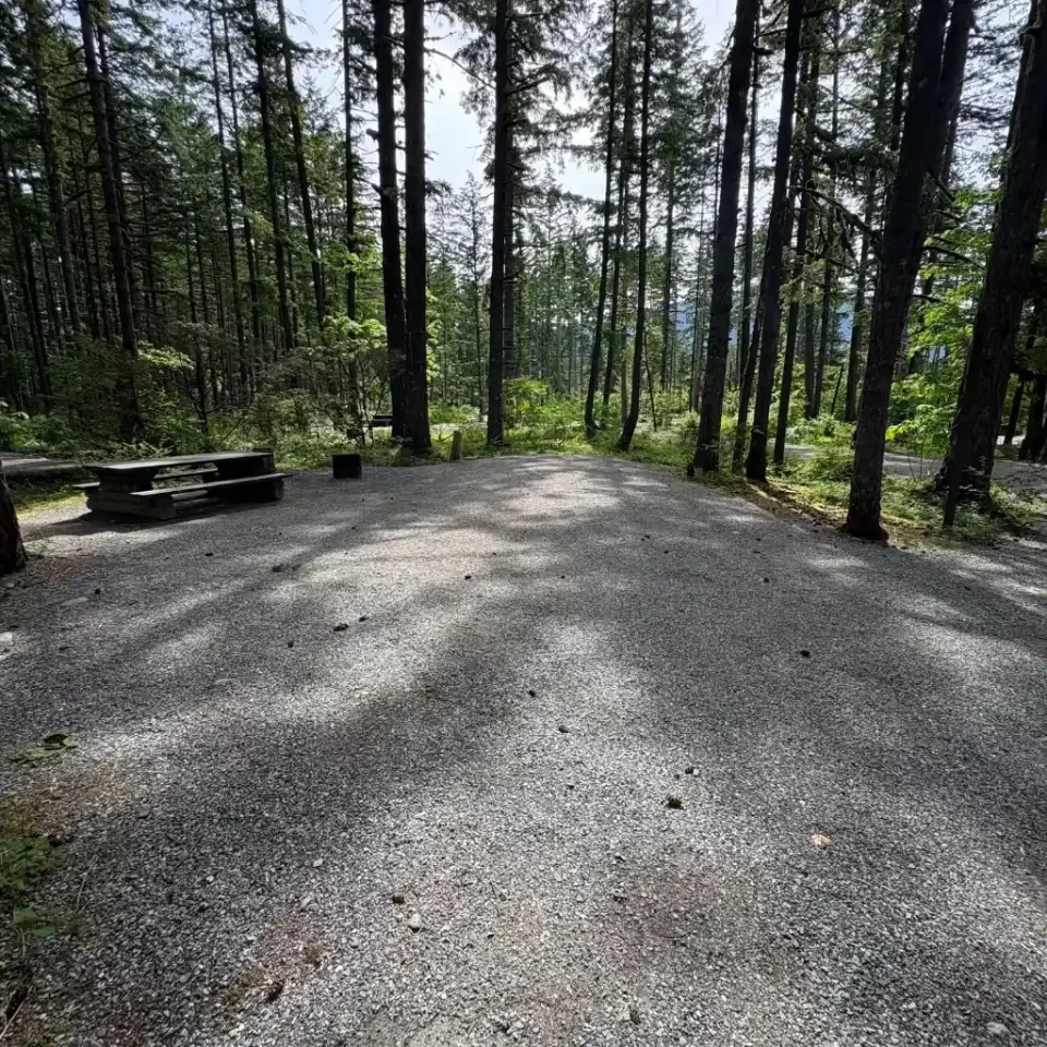 Chehalis campsite 70