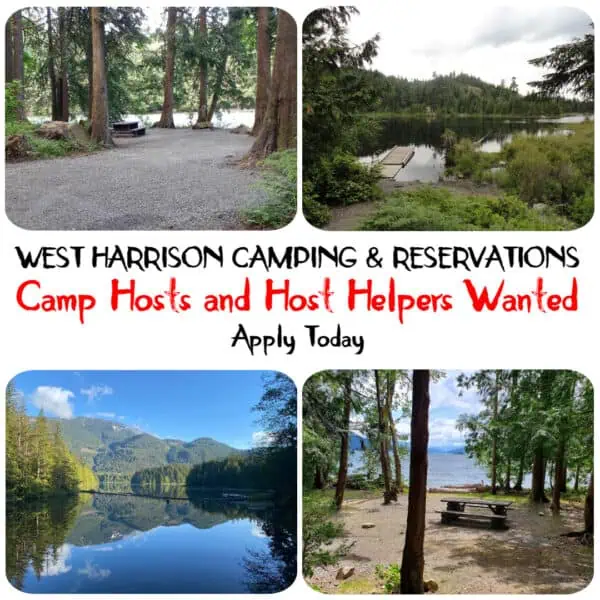 Camp Host wanted