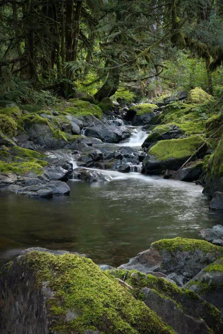 Weaver creek group site 3