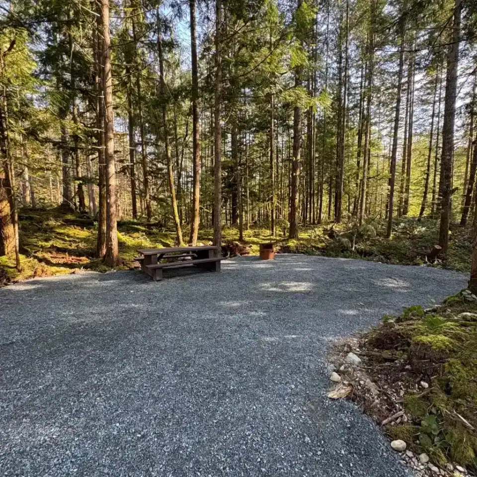 Wood lake campground site 38